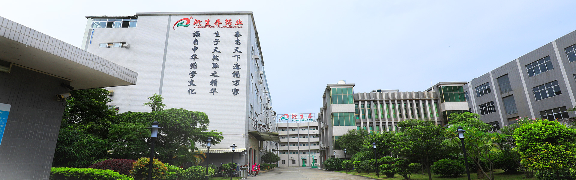 GMP 认证 · 智造基地